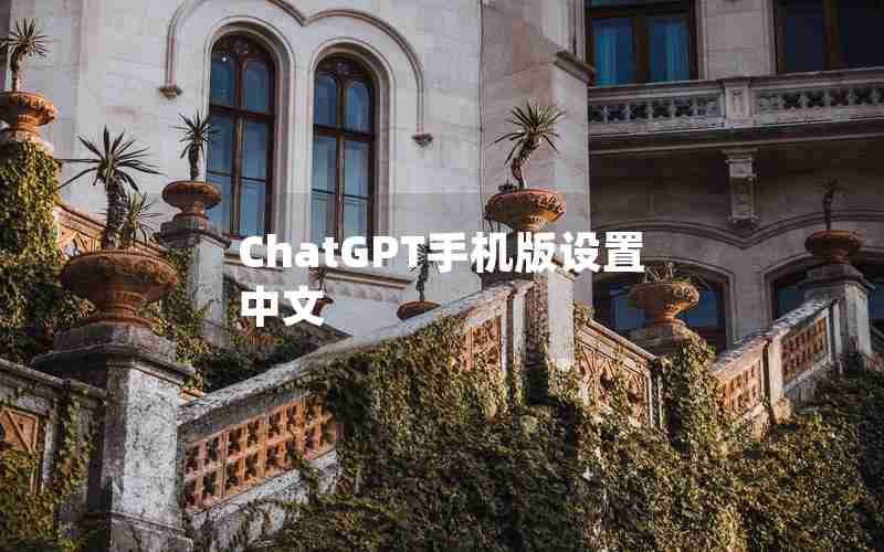 ChatGPT手机版设置中文