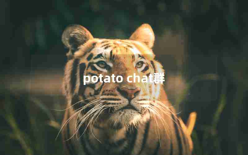 potato chat群