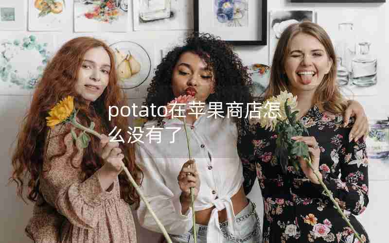 potato在苹果商店怎么没有了