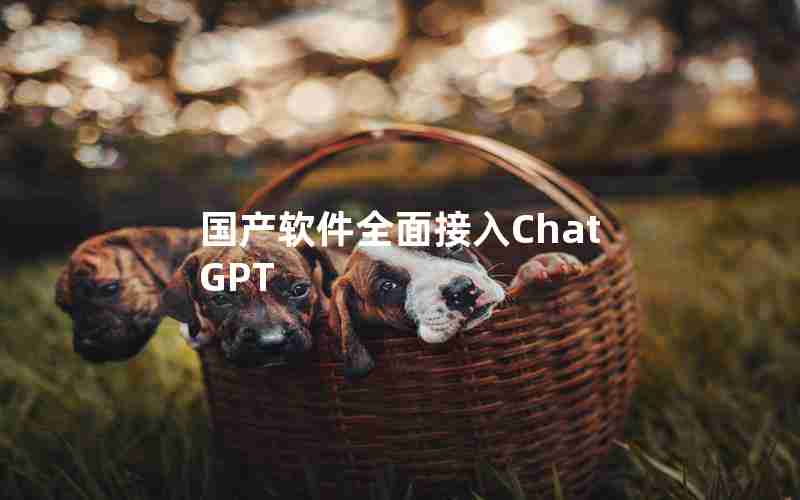 国产软件全面接入ChatGPT