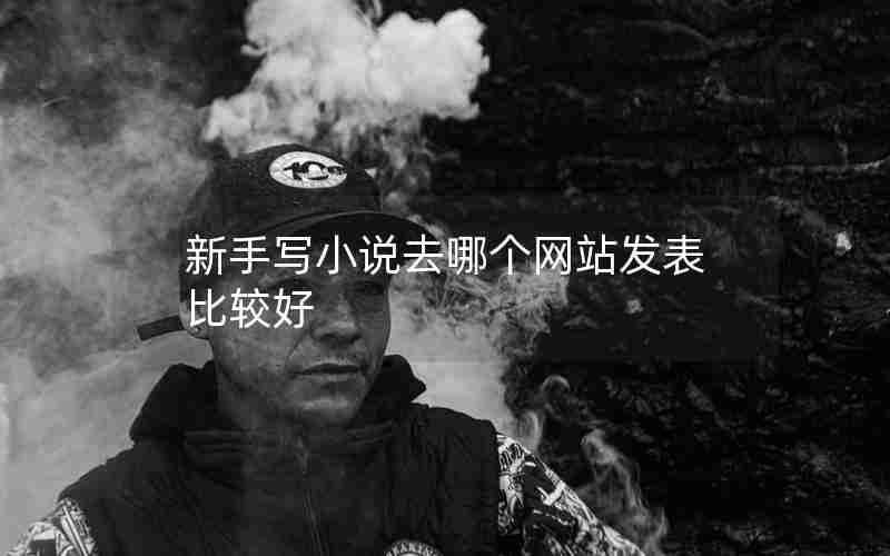 新手写小说去哪个网站发表比较好