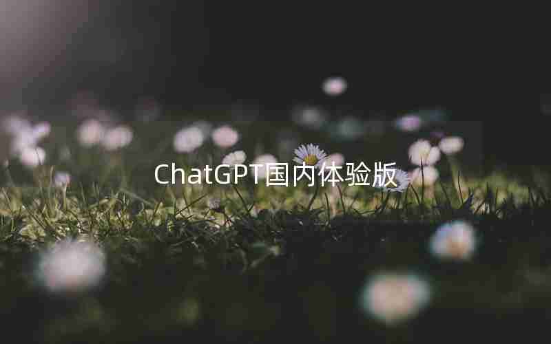 ChatGPT国内体验版