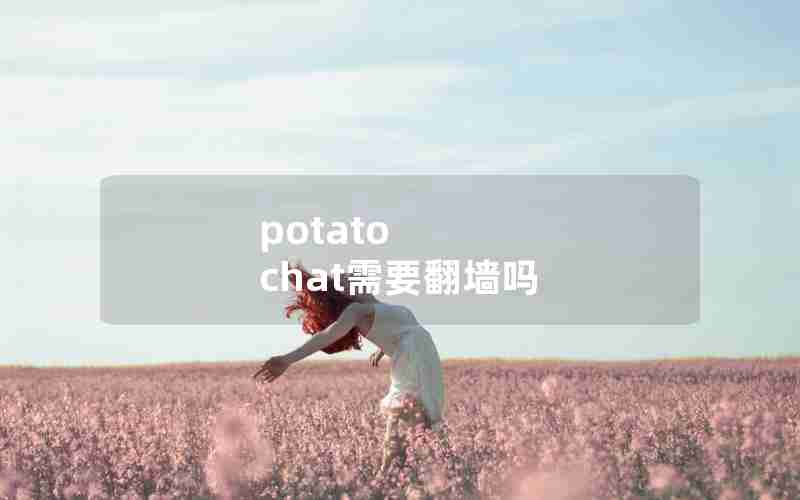 potato chat需要翻墙吗