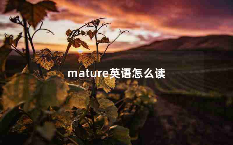 mature英语怎么读