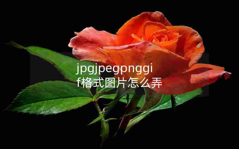 jpgjpegpnggif格式图片怎么弄