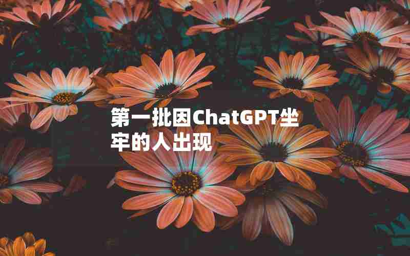 第一批因ChatGPT坐牢的人出现