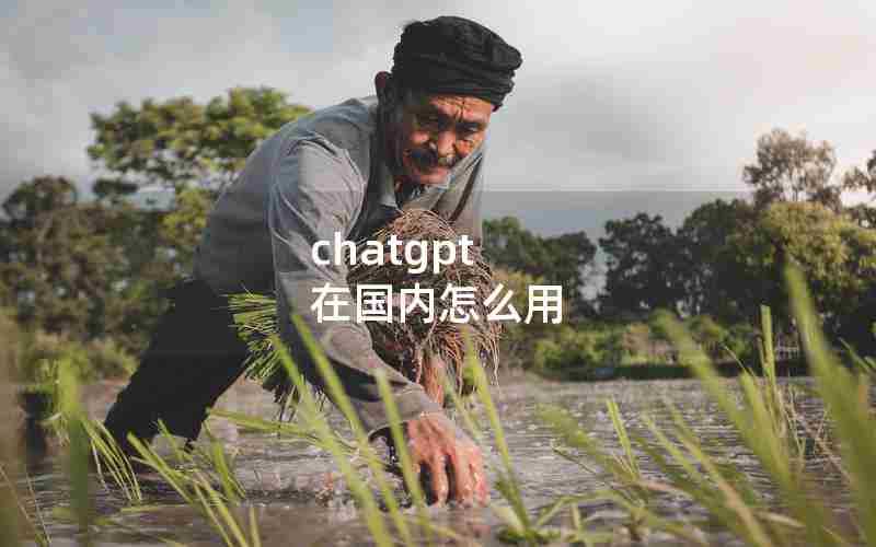 chatgpt 在国内怎么用