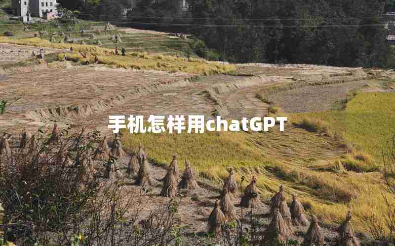 手机怎样用chatGPT—TryChatGPT下载