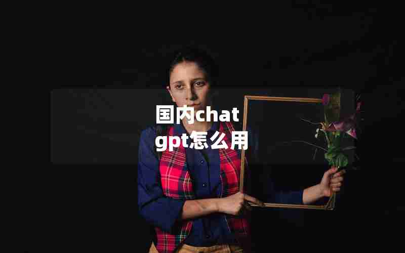 国内chat gpt怎么用