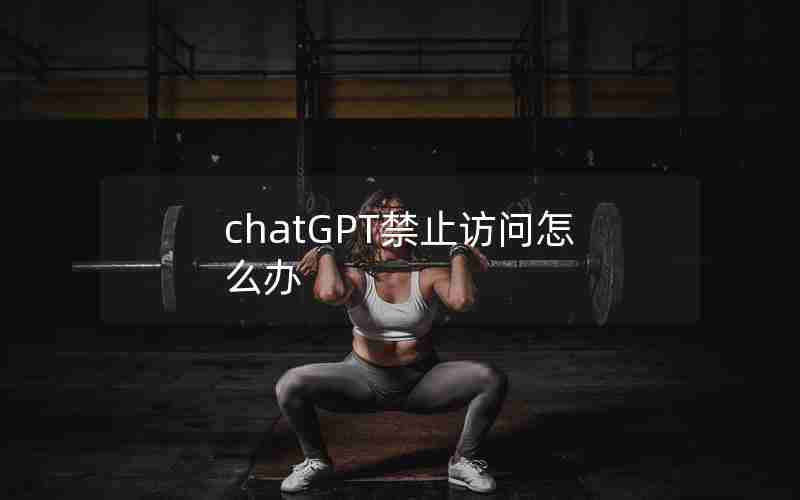 chatGPT禁止访问怎么办