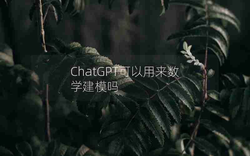 ChatGPT可以用来数学建模吗