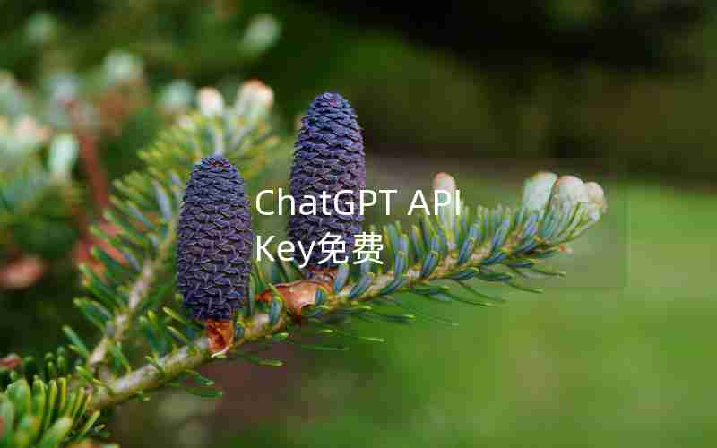 ChatGPT API Key免费;ChatGPT API Key免费