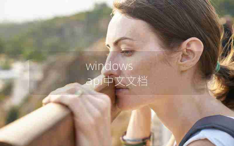 windows api中文文档