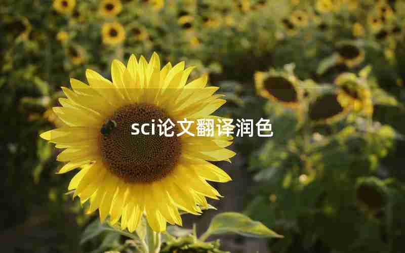 sci论文翻译润色