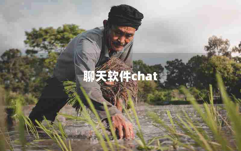 聊天软件chat