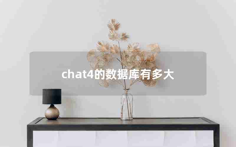 chat4的数据库有多大