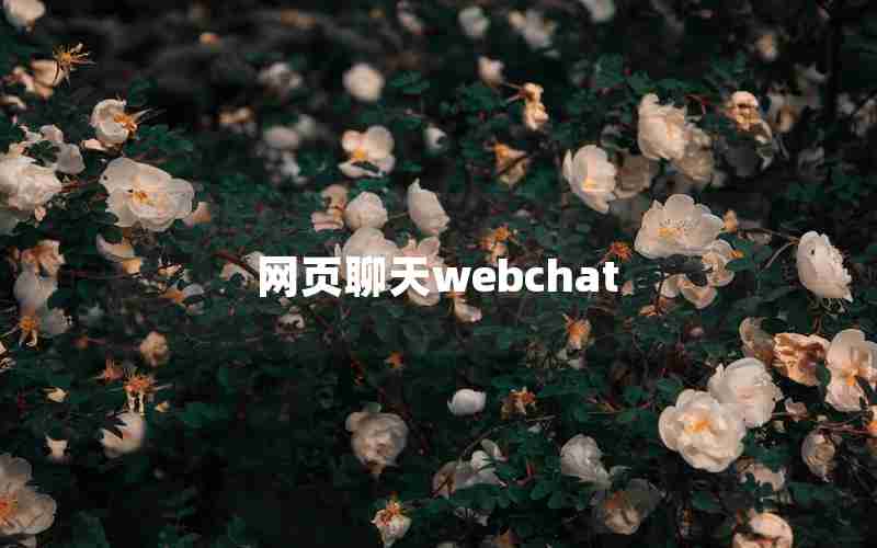 网页聊天webchat