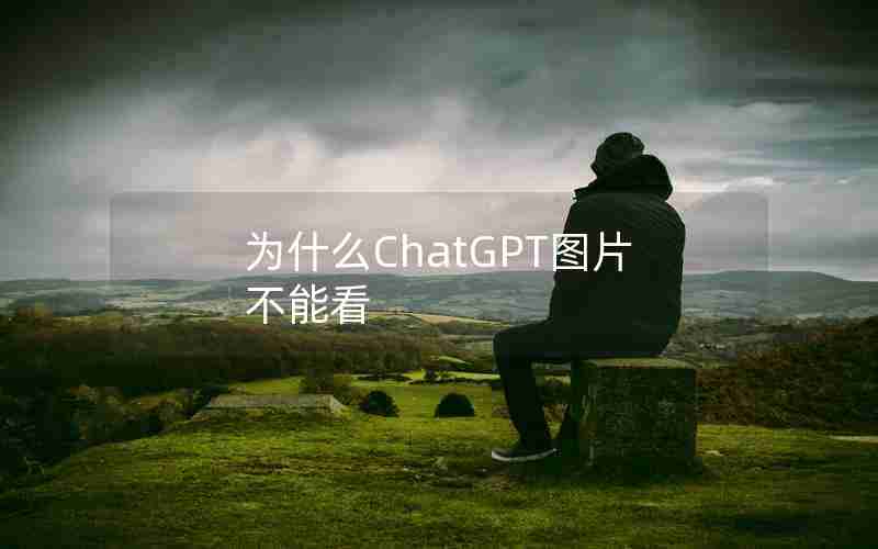 为什么ChatGPT图片不能看