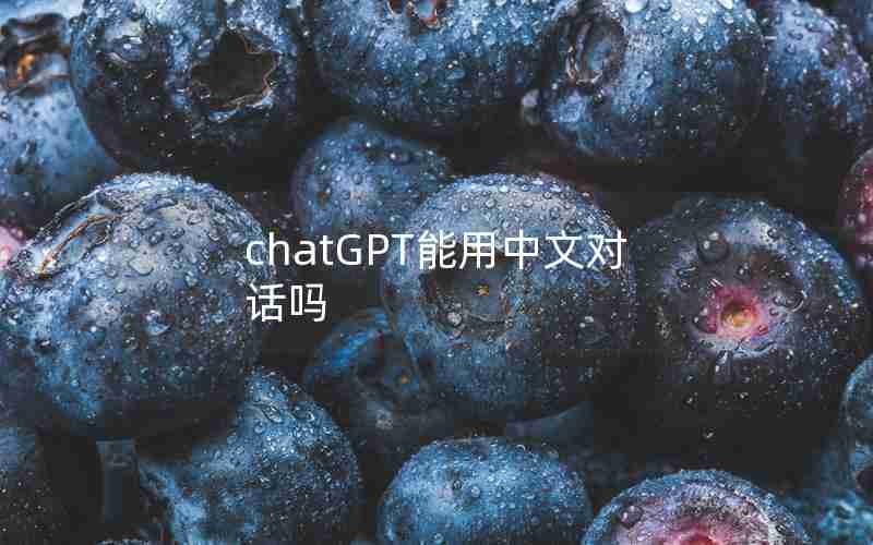 chatGPT能用中文对话吗