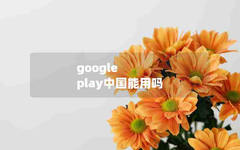 google play中国能用吗