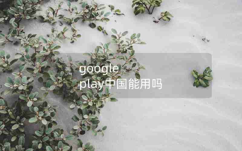 google play中国能用吗