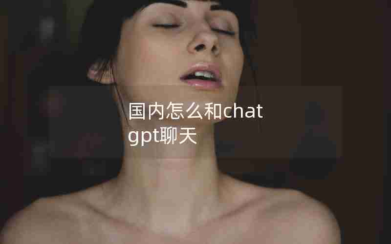 国内怎么和chat gpt聊天