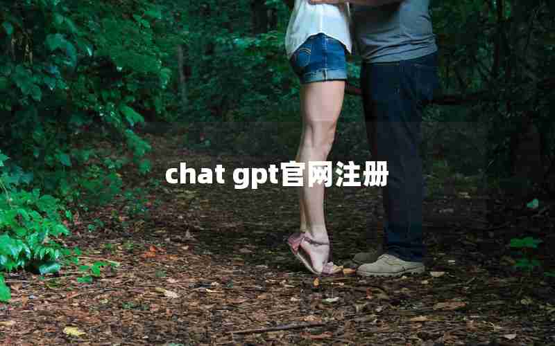 chat gpt官网注册