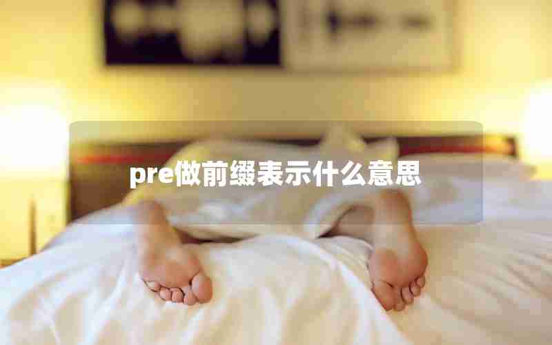 pre做前缀表示什么意思