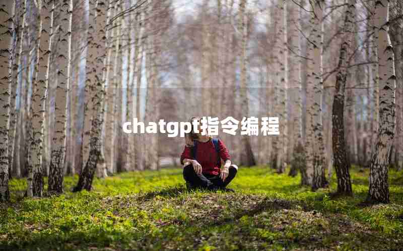 chatgpt指令编程