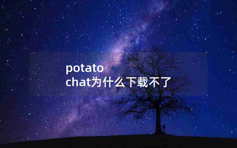 potato chat为什么下载不了