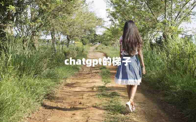 chatgpt的梯子、国内为什么封禁chatGPT