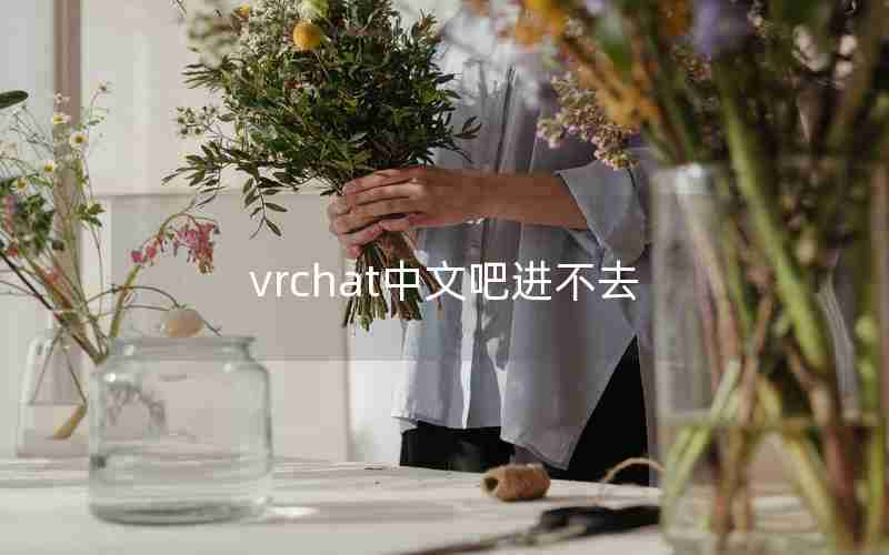 vrchat中文吧进不去