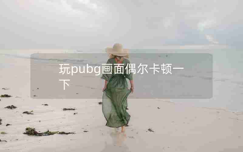 玩pubg画面偶尔卡顿一下