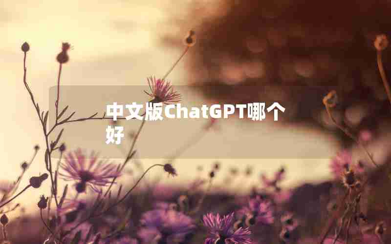 中文版ChatGPT哪个好