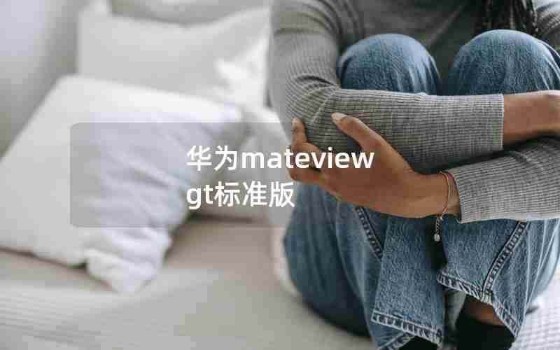 华为mateview gt标准版