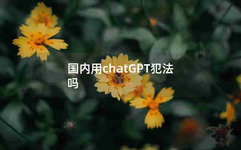 国内用chatGPT犯法吗