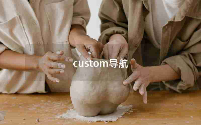 custom导航