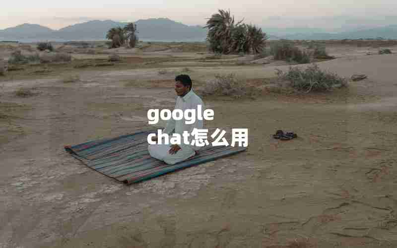 google chat怎么用