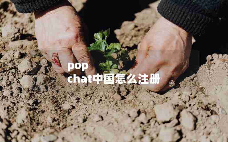 pop chat中国怎么注册