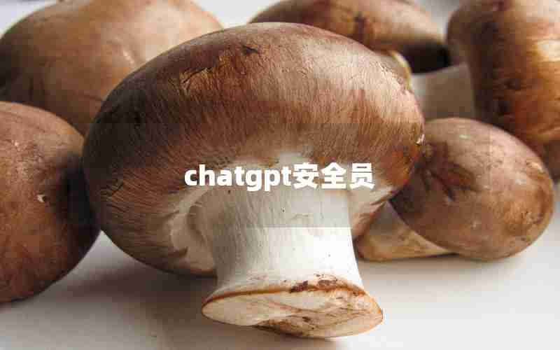 chatgpt安全员