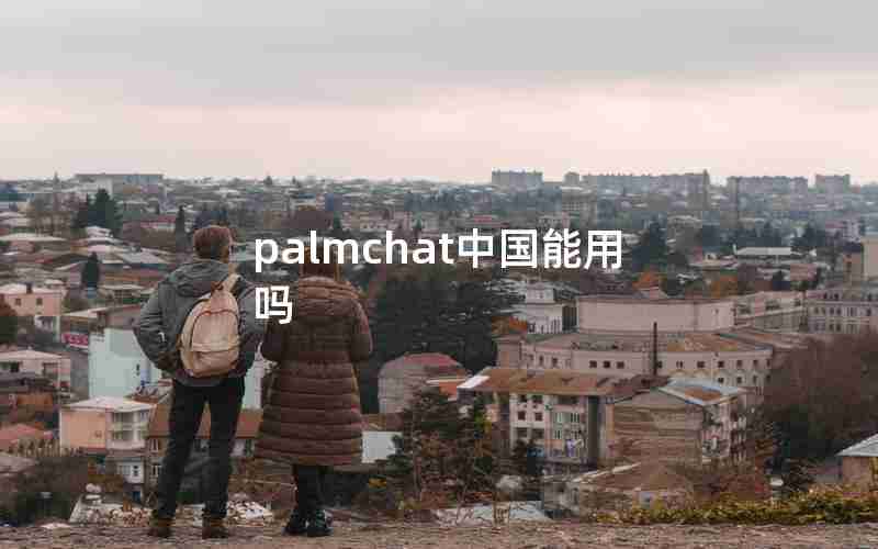 palmchat中国能用吗