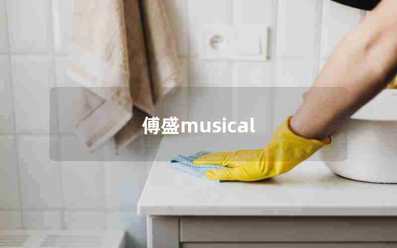 傅盛musical