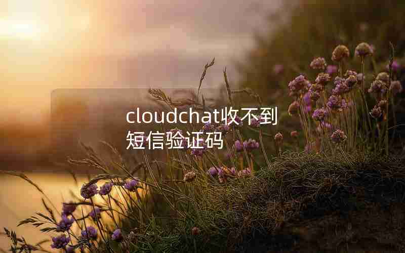 cloudchat收不到短信验证码