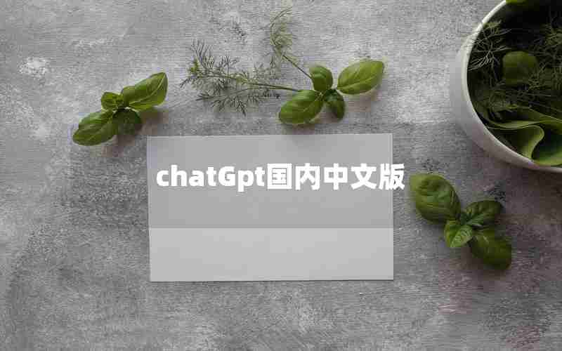 chatGpt国内中文版