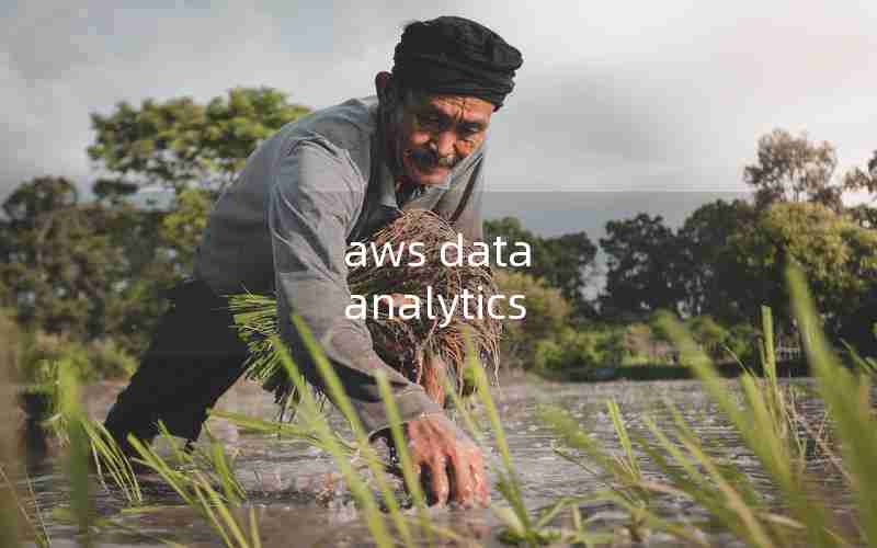 aws data analytics