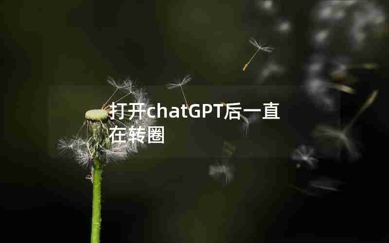 打开chatGPT后一直在转圈