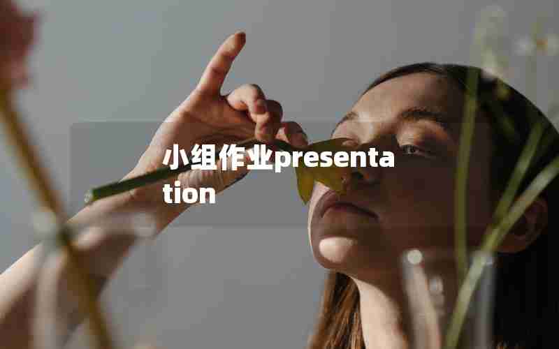 小组作业presentation