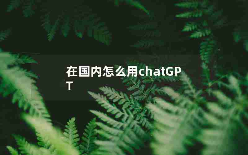 在国内怎么用chatGPT