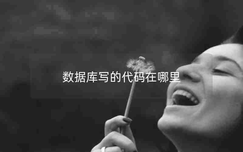 数据库写的代码在哪里