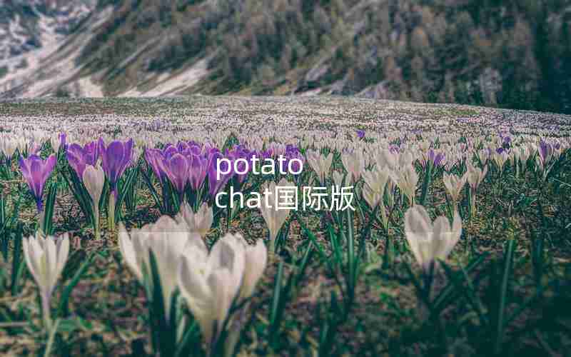 potato chat国际版